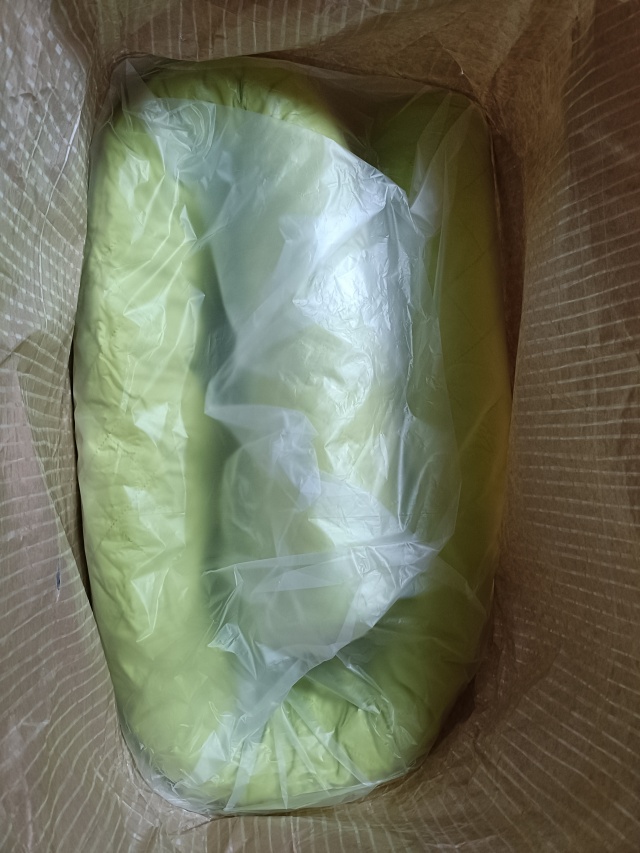 袋を開けた直後のエアーアスリート