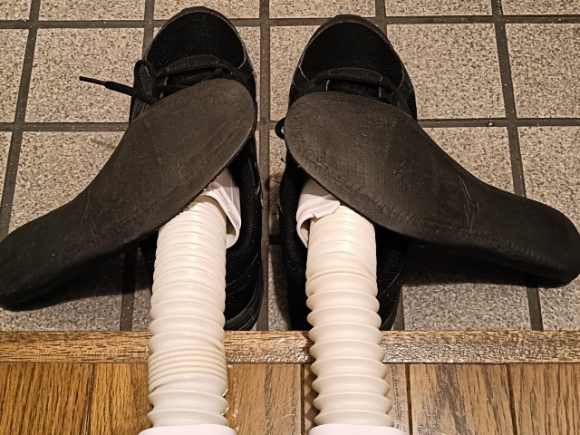 本体の上に中敷きを置いて乾かしている状態